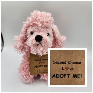 Webkinz Ganz Lil Kinz Pink Poodle 7" Plush Stuffed Animal HS107 Dog No Code